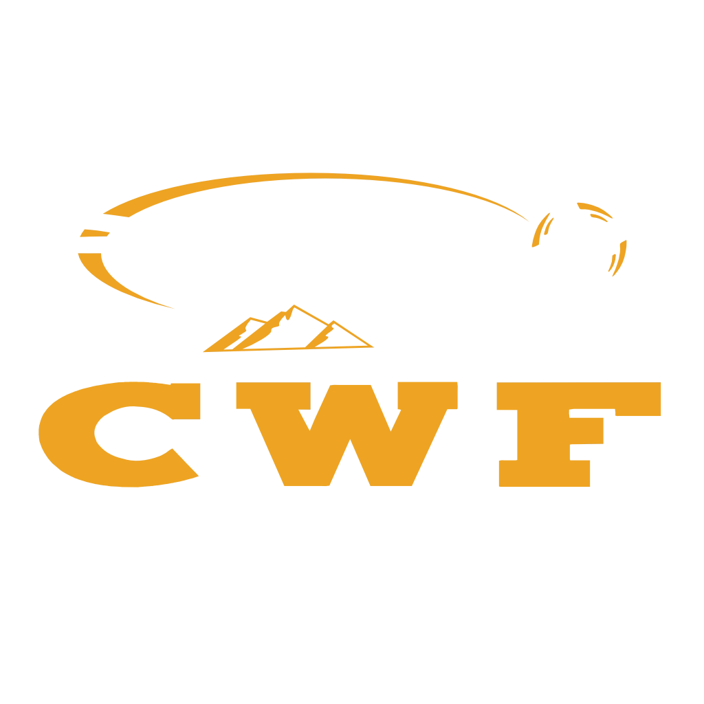 CWF Precision emblem